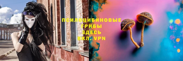 ECSTASY Медвежьегорск