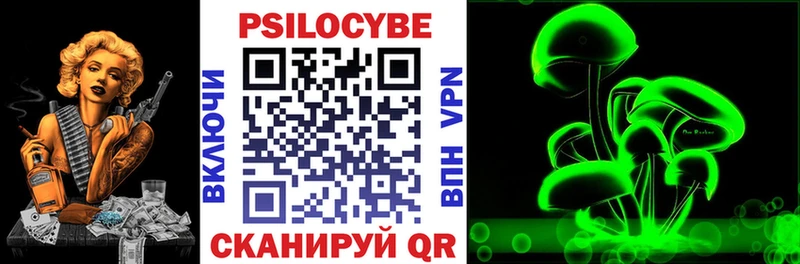 хочу   Морозовск  OMG маркетплейс  Псилоцибиновые грибы Magic Shrooms 