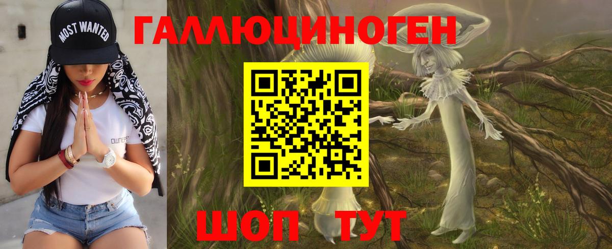 что такое наркотик  Псилоцибиновые грибы ЛСД  Псилоцибиновые грибы Psilocybine cubensis  Вход с VPN  Морозовск 